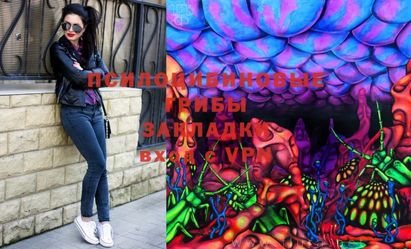 эйфоретик Арсеньев