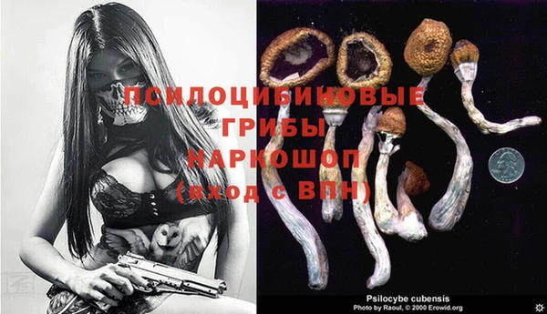 эйфоретик Арсеньев