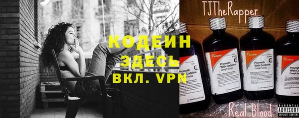эйфоретик Арсеньев